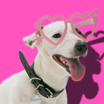 подарки на 14 февраля