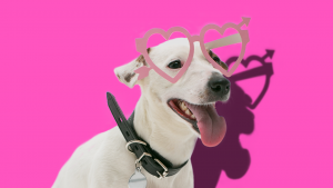 подарки на 14 февраля