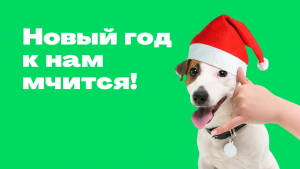 новогодние скидки